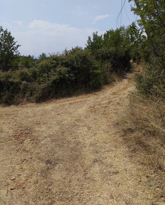 Продава се Парцел в Дупница - 2100 кв.м за 5 €/кв.м - Снимка #2