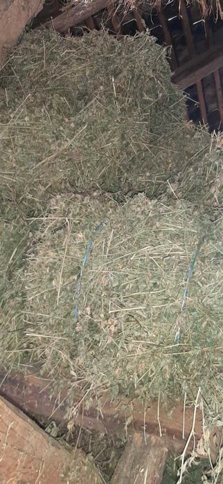 Vand baloti de lucerna