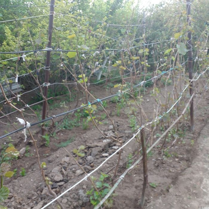 Продам или обменяю на квартиру
