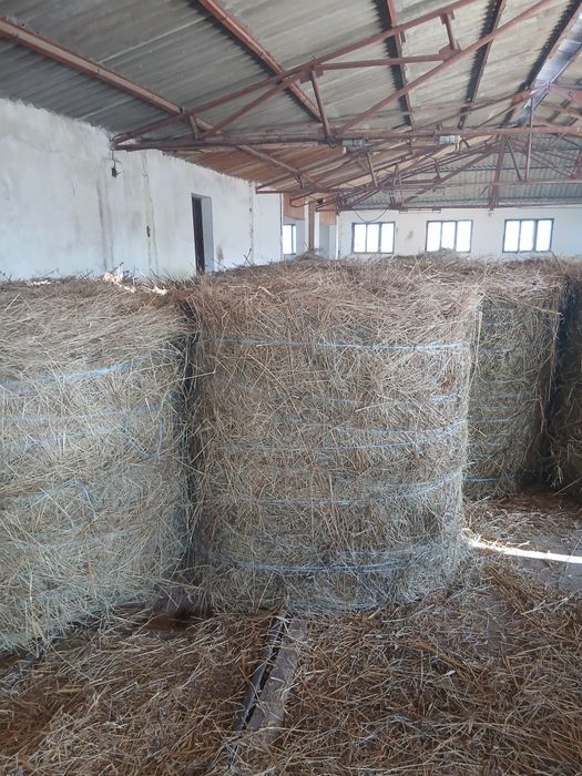 Vând baloți lucernă