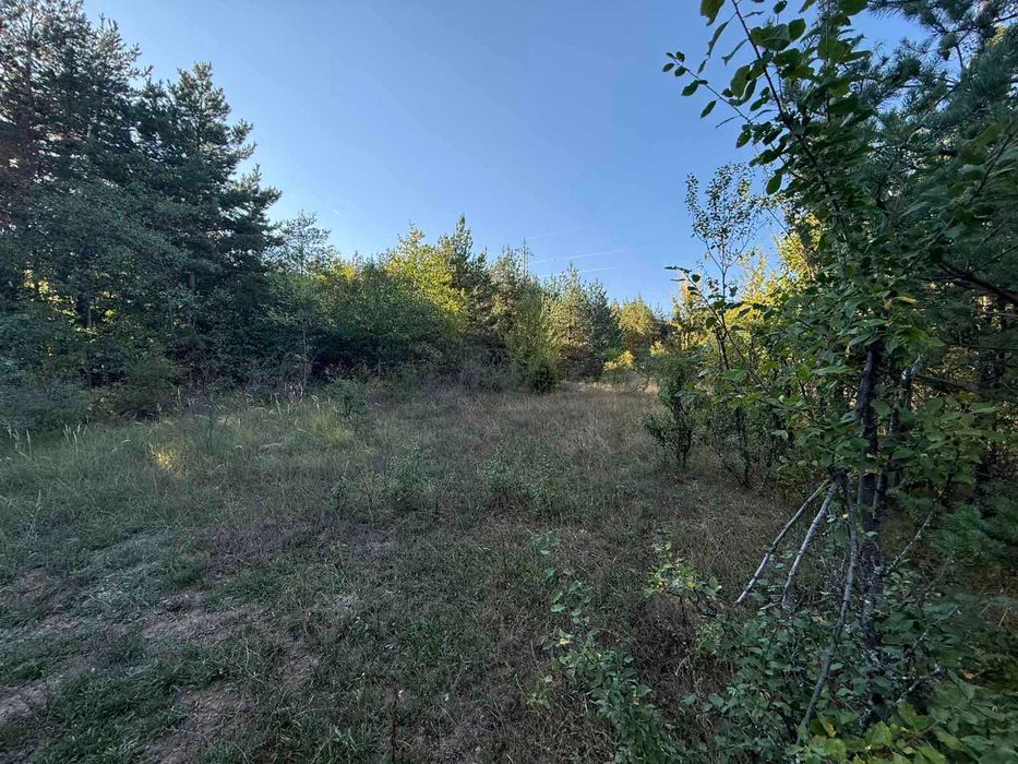 ЕКСКЛУЗИВНО! Парцел 760 кв.м. за продажба във зона Бойков рид, Разлог