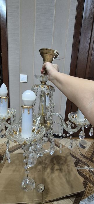 Отдам даром. Бурундай. Самовывоз