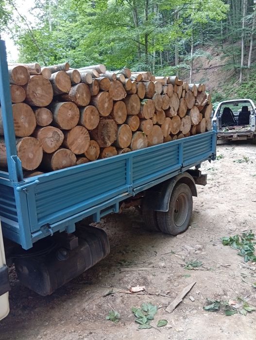 Vând lemn de foc și bustean