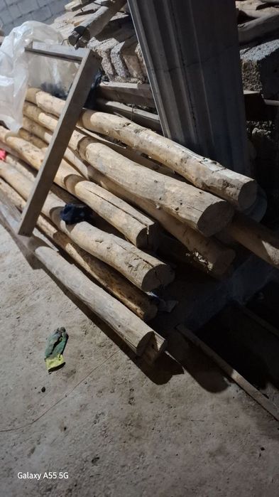 Terak toʻsinlar sotiladi (b.u)