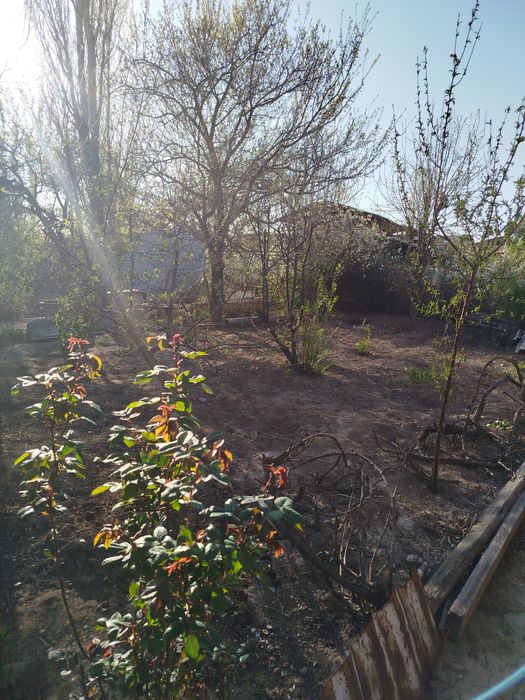 Продается дом Таваксай