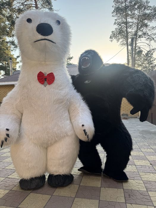 Аниматорные костюмы