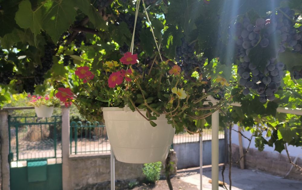 Продава се Къща в Враца, Квартал 103 - 90 кв.м за 234 €/кв.м - Снимка #2