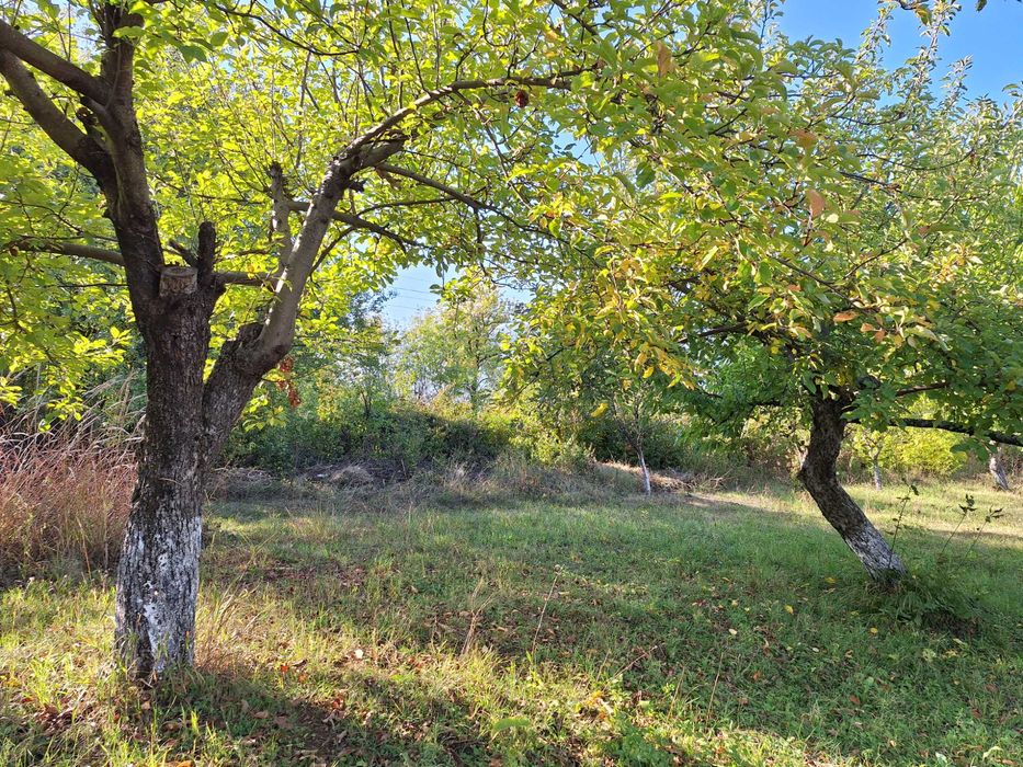 Продава се Къща в София, Сердика - 71 кв.м за 323 €/кв.м - Снимка #10