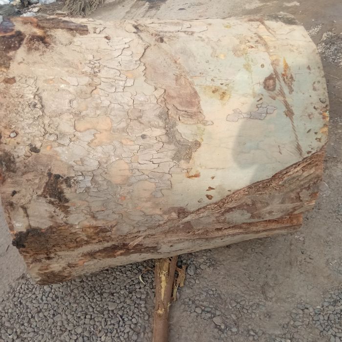 Goshtonkala sotladi 250$ dan