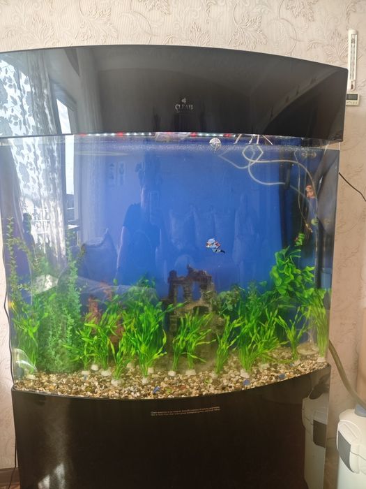 Продам аквариум 250 л.