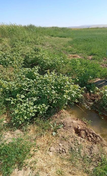 Жер жалга бериледи