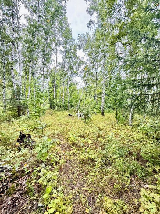 Дача, Щучинск, ул. Прилесная