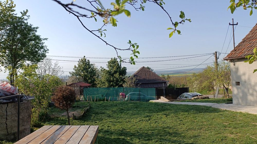 Casă și grădină în Sisterea