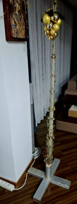 Brad friendly - Avangardist de super sezon