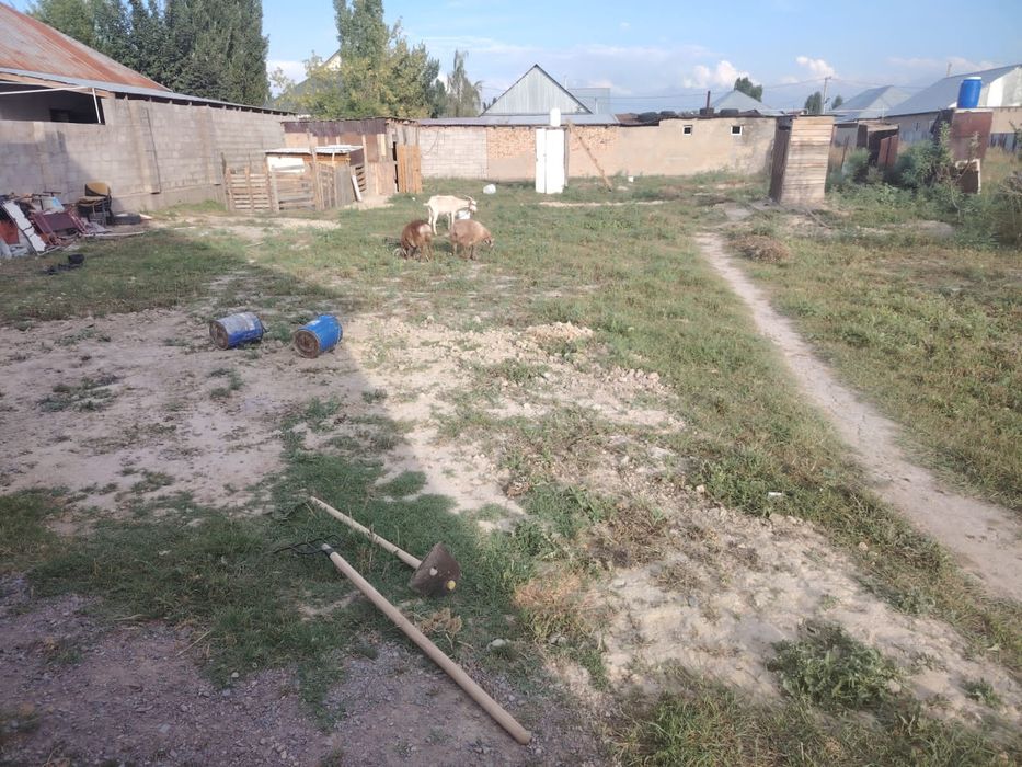 Продам дом ст шамалган