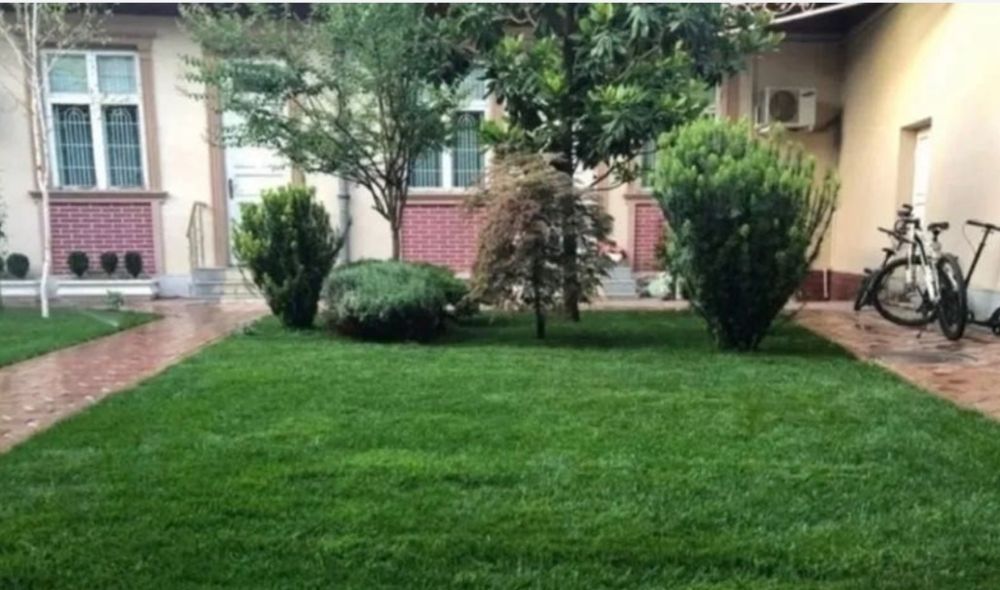 Газон посевной рулонный