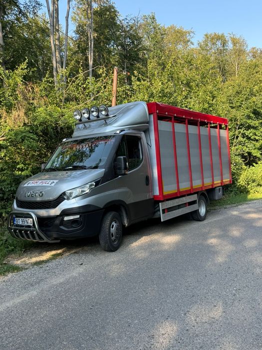 Iveco daily  transport animale 35c17 35c18 35c15 Mercedes sprinter 519