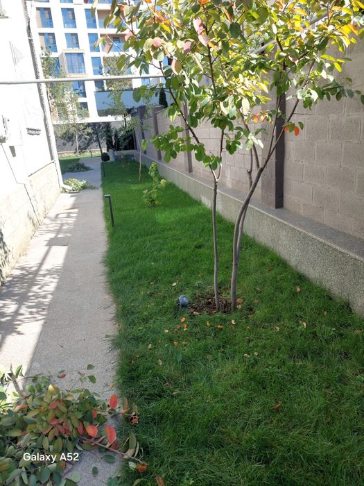 Все виды, обрезки   Ваших деревьев.