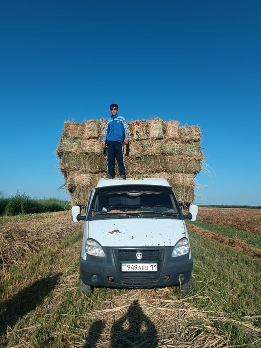 Сабан прес қамыс прес бар