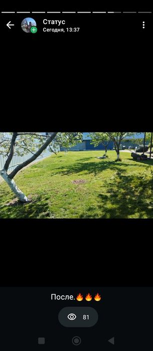 Покос травы,стрижка газона.