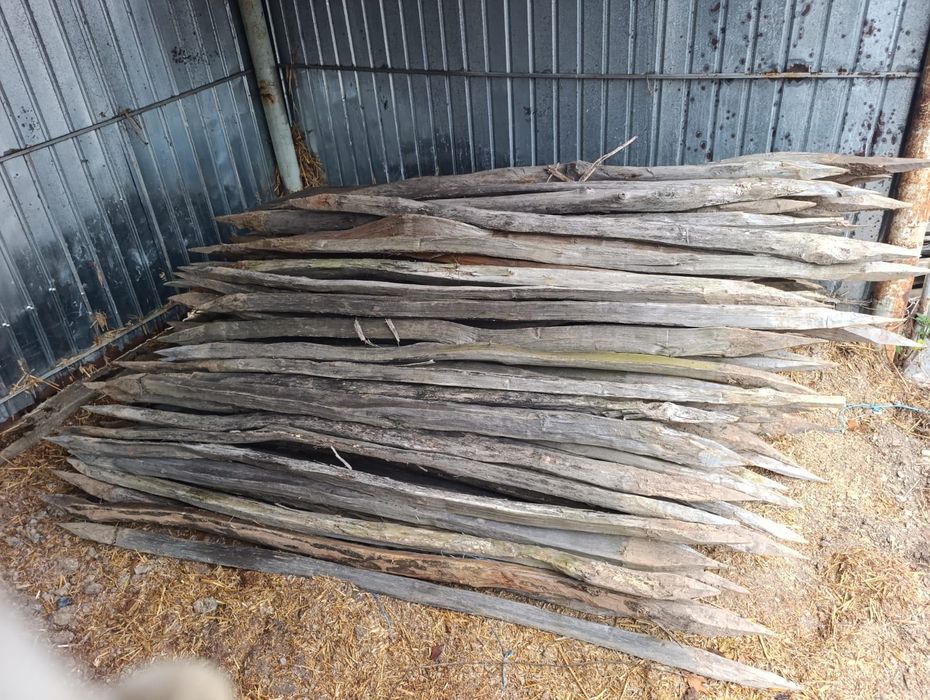 Pari vie ascutiti la ambele capete