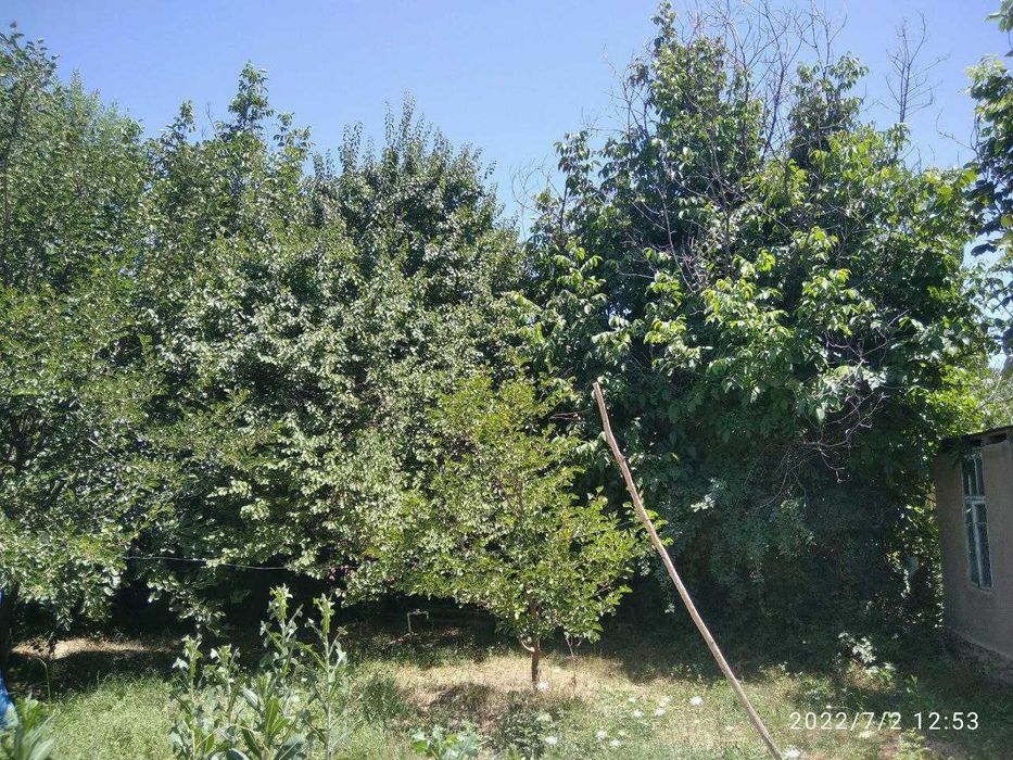 Продаётся участок-дача