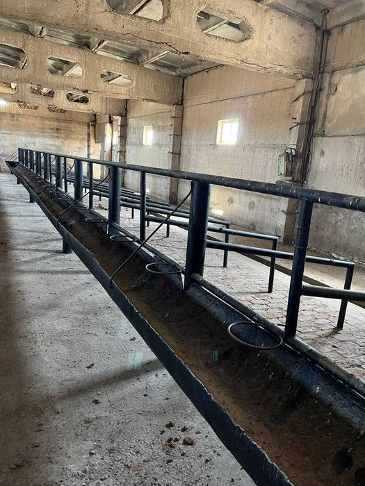 Животноводческая ферма (17.2 га) қорамол фермаси (17.2 ga)