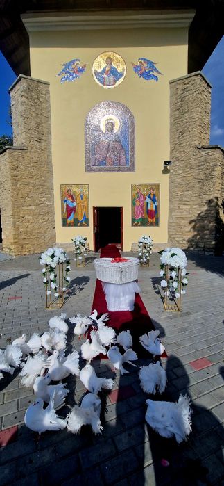 Decorațiuni evenimente