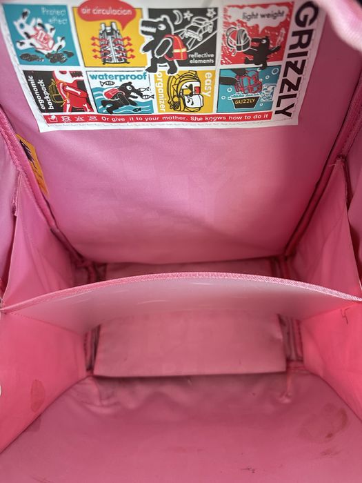 Рюкзак школьный Greezly