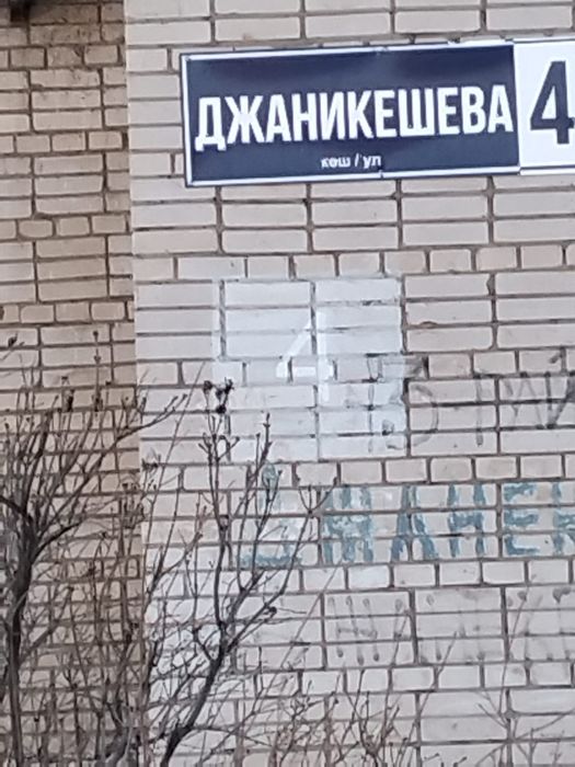 Собака потерялась, чья?