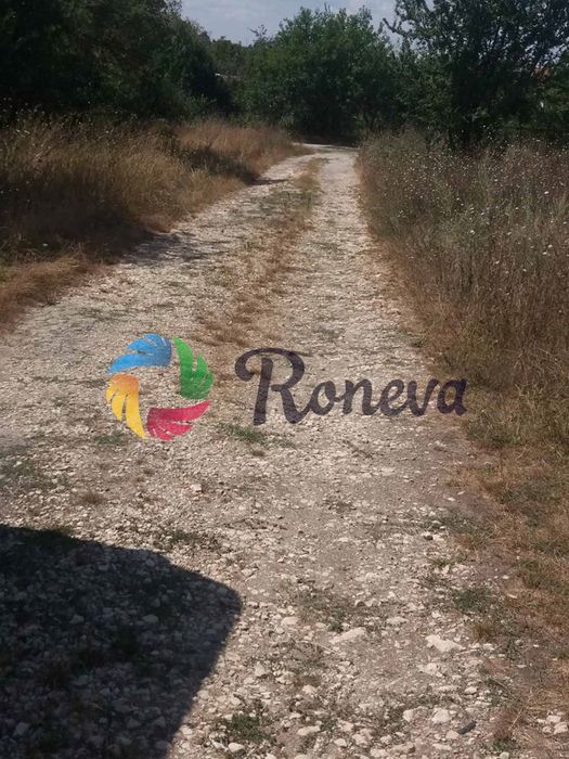 Продава се Парцел в с. Левски, Област Варна - 2782 кв.м за 20 €/кв.м - Снимка #4