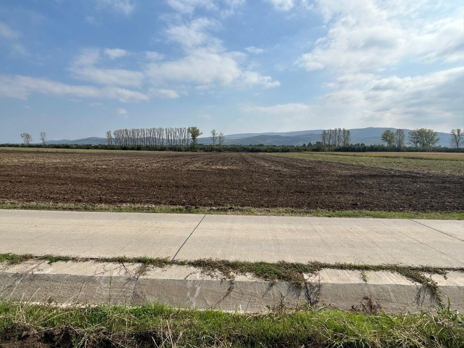 Teren Dancu deschidere la  aleea betonata