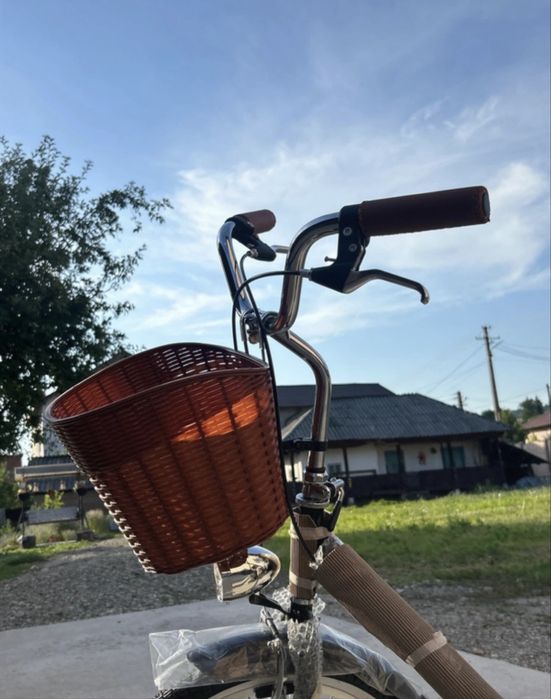 Bicicleta cu cos ,maro
