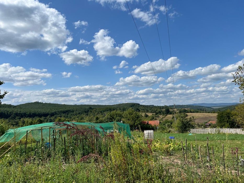 Casă în zonă pitorească, Pătârș, Județ Arad