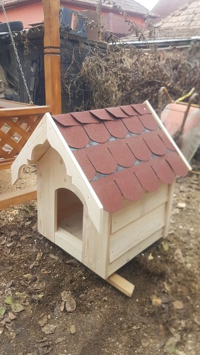 vand cusca caine. mica, mare.