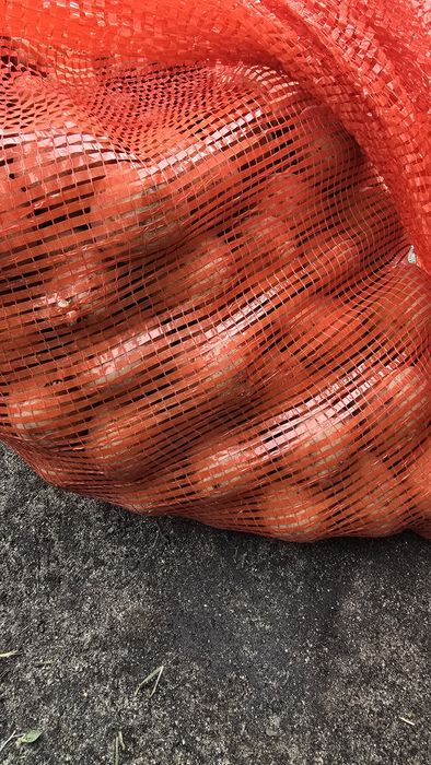 Семейной картофель