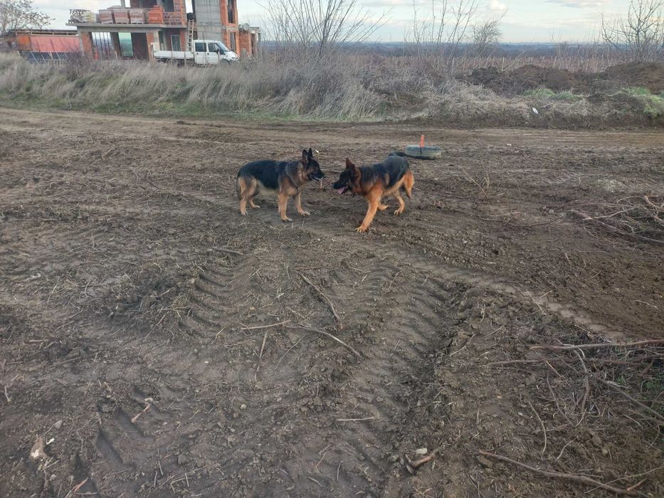 Продава се Парцел в Пловдив, Каменица 1 - 991 кв.м за 18 €/кв.м - Снимка #1