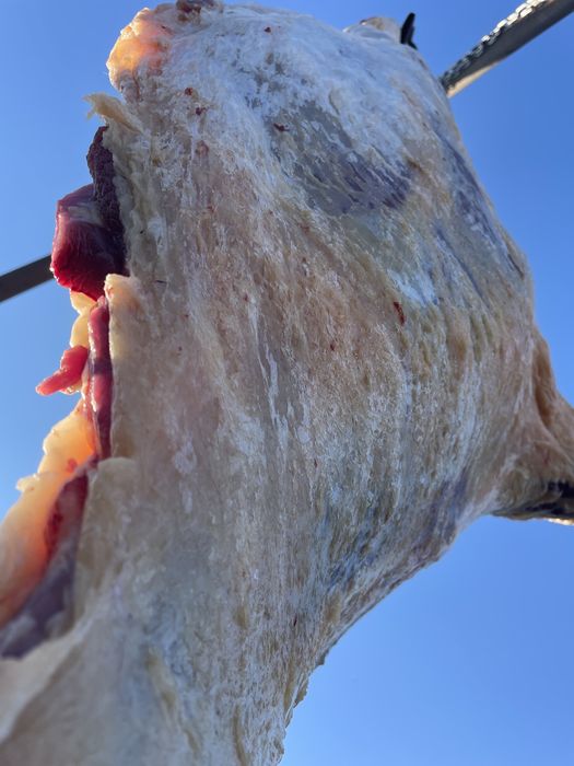 Семіз Қашар Еті “Қостанай-Рудный”