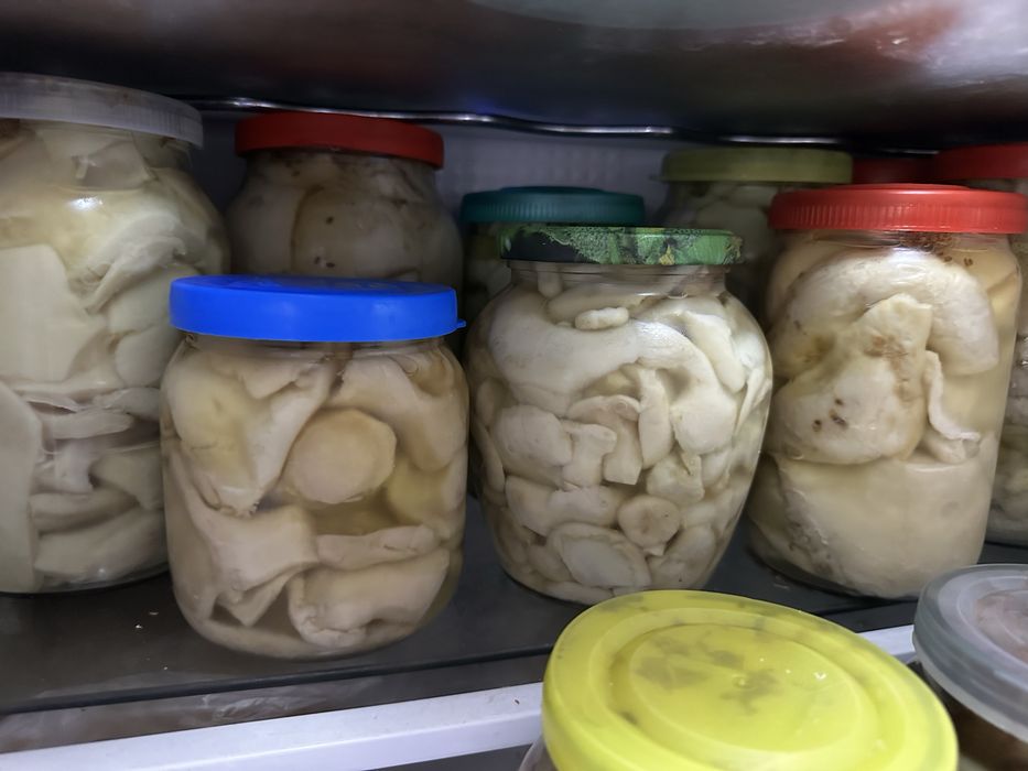 Продам грибы грузди