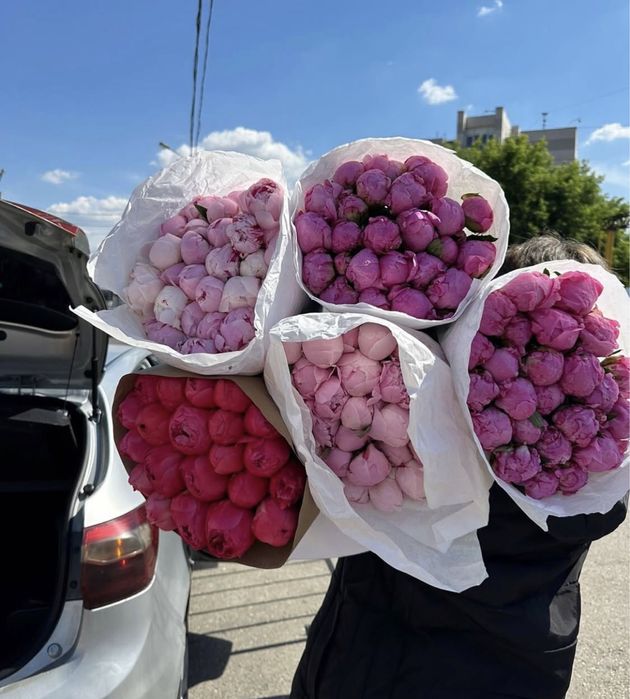 Гортензии. Пионы. Кустовые. Розы