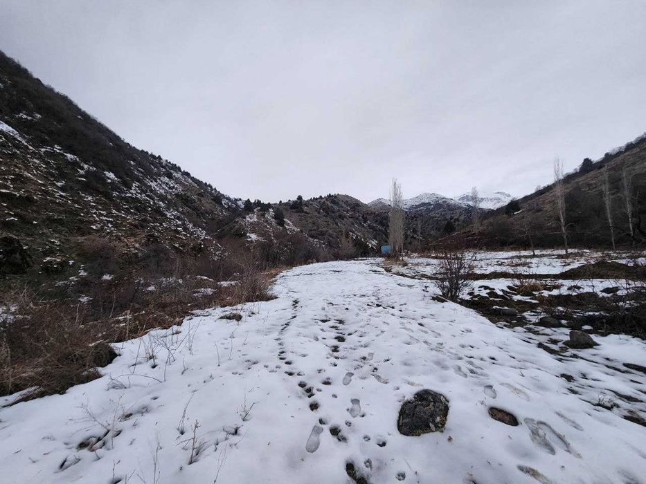 Земля в Окташе, 17 соток