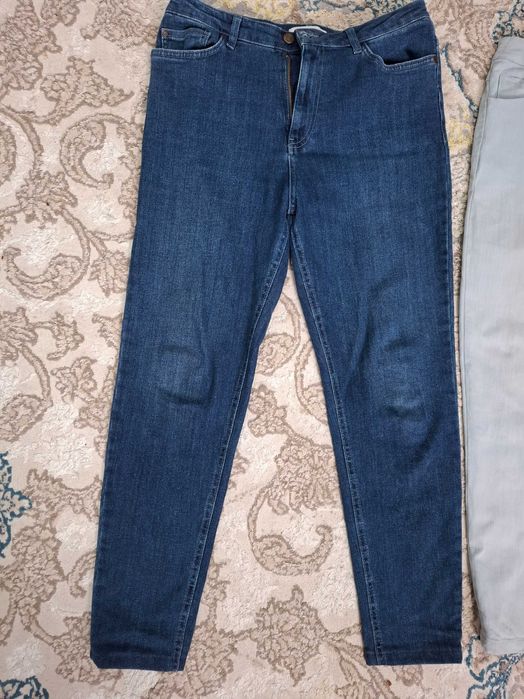 Ayollar jensi shimlari