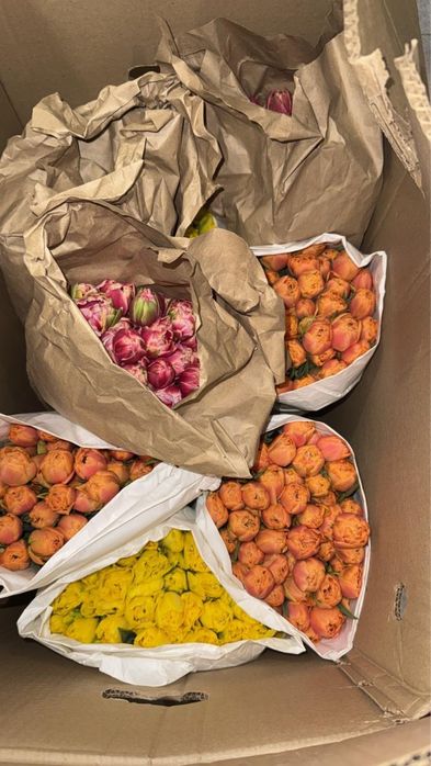 Тюльпаны на 8Марта