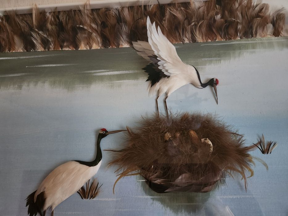 Продам картину из перьев