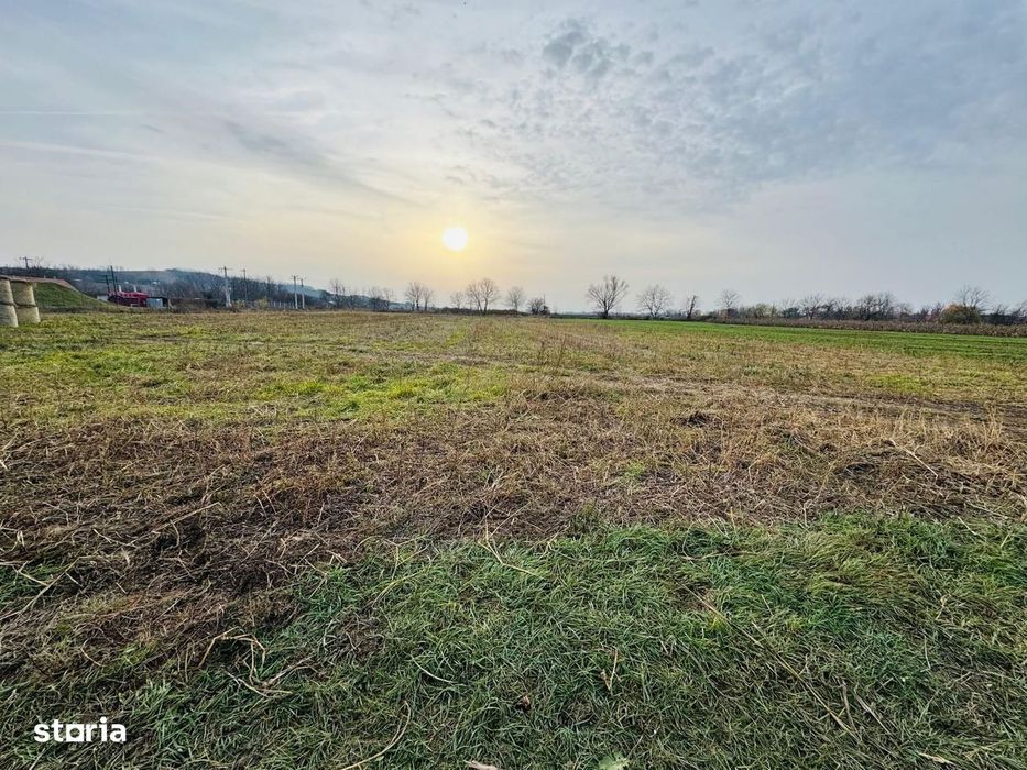 Teren intravilan 7620 mp la intrare in Diosig