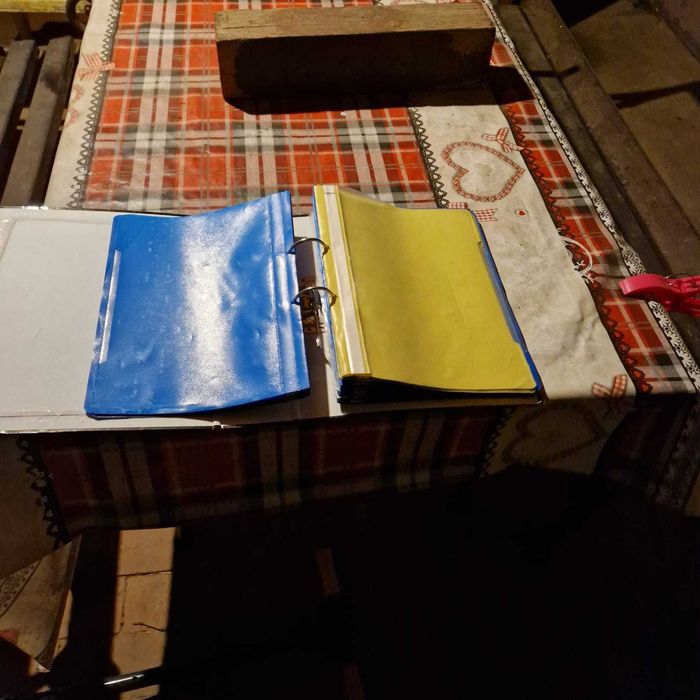 Dosar plastic cu sina