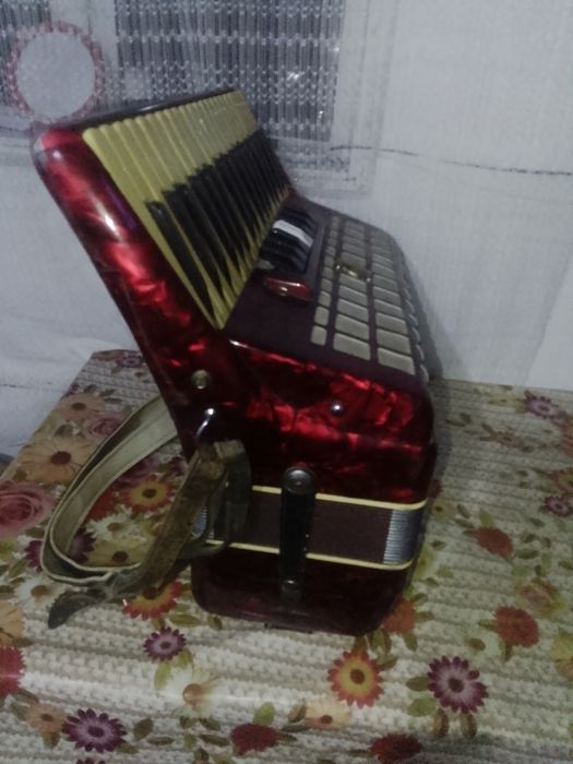 Acordeon parot 96basi