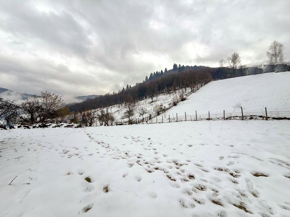 Teren intravilan 2300 mp Paltinis-Valea Stezii Sibiu