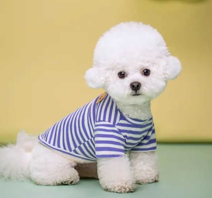 Дрешки и аксесоари за малко куче