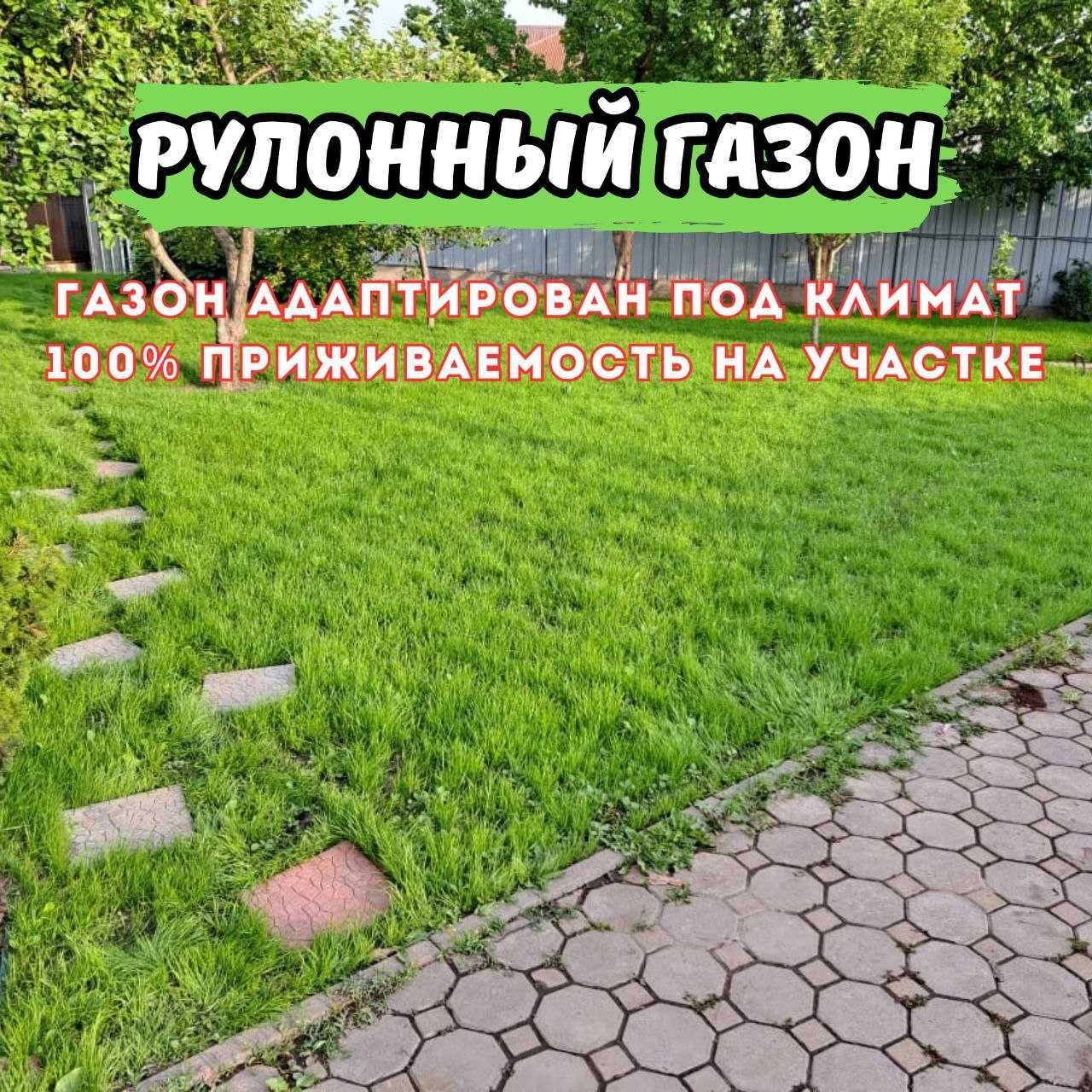 Газон рулонный купить в алматы газонная трава Укладка Посев Посадка: 1 ...
